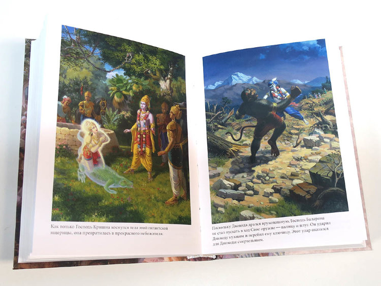 Книга "Учение Шри Чайтаньи", Шрила Прабхупада