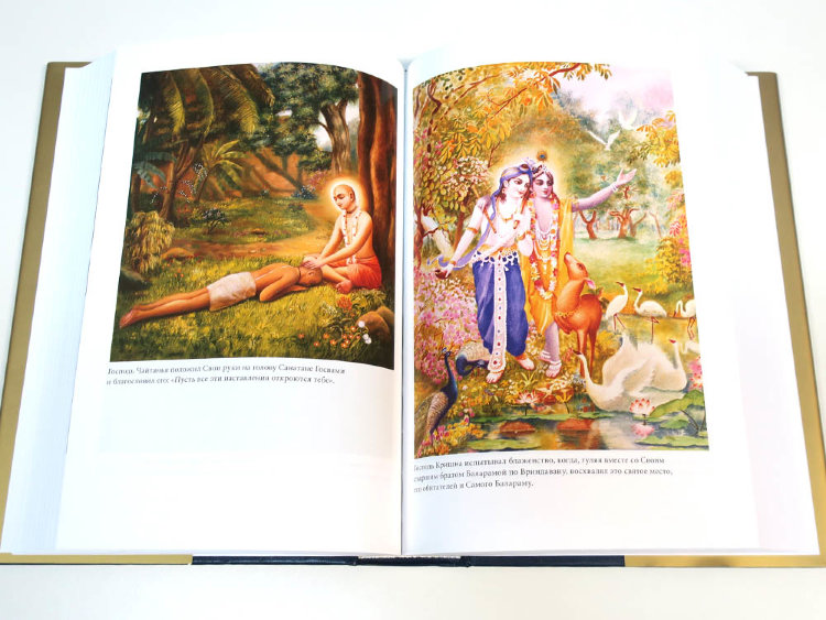 Книга "Шри Чайтанья-чаритамрита. Мадхья-лила" том 5, главы 21-25 , Шрила Прабхупада